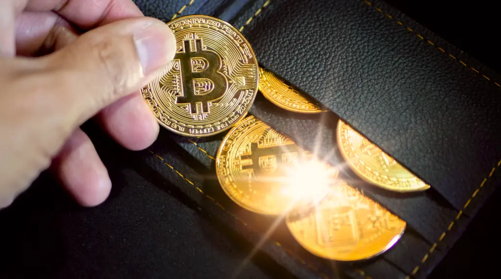 A golden Bitcoin cryptocurrency coin held in someone's hand.